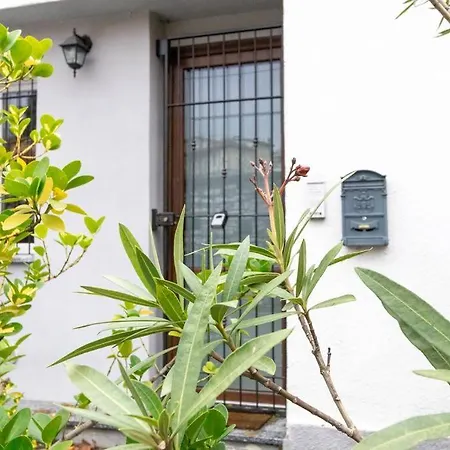 The House With Free Parking *